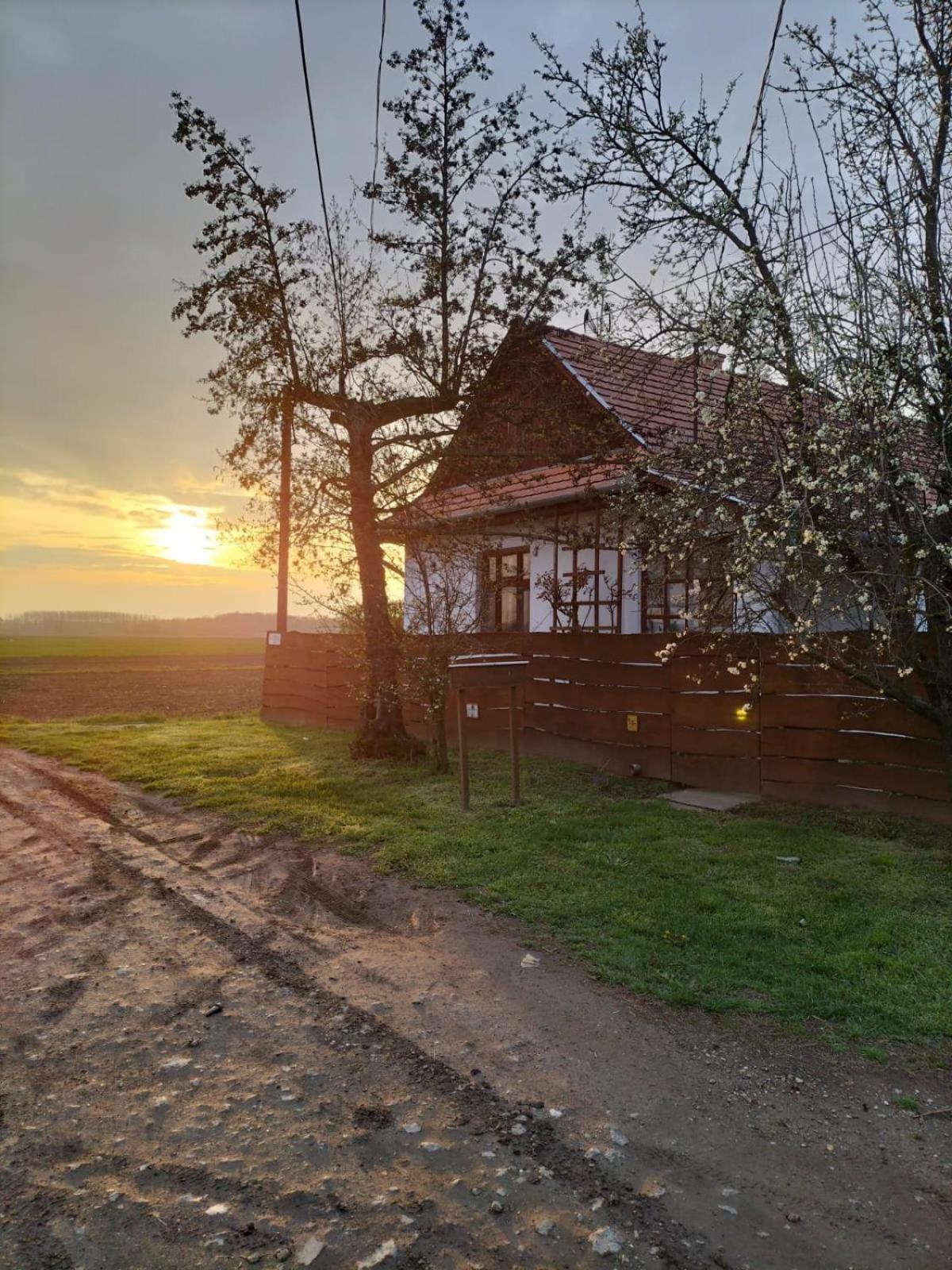 Tiszaglamping, The Belgian Hideaway Hotell Tiszacsege Exteriör bild